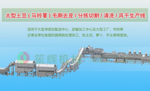 城固连续式土豆去皮清洗切割风干生产线